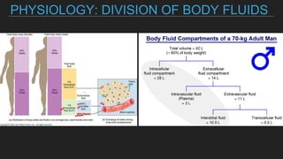 PHYSIOLOGY: DIVISION OF BODY FLUIDS
_
 