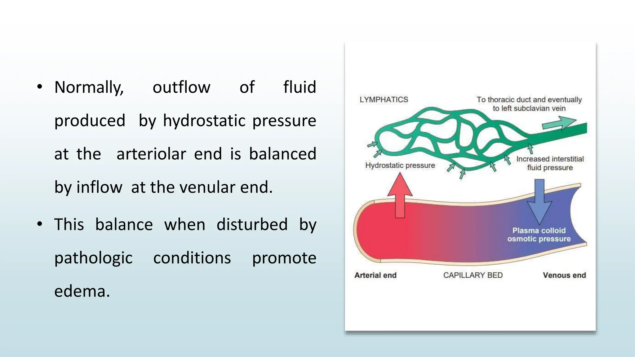 • Normally, outflow of fluid
produced by hydrostatic pressure
at the arteriolar end is balanced
by inflow at the venular end.
• This balance when disturbed by
pathologic conditions promote
edema.
 