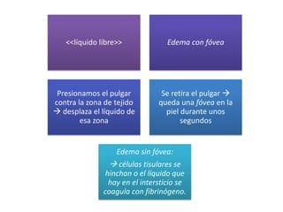 <<líquido libre>> Edema con fóvea
Presionamos el pulgar
contra la zona de tejido
 desplaza el líquido de
esa zona
Se retira el pulgar 
queda una fóvea en la
piel durante unos
segundos
Edema sin fóvea:
 células tisulares se
hinchan o el líquido que
hay en el intersticio se
coagula con fibrinógeno.
 