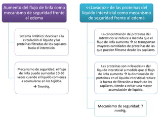 Aumento del flujo de linfa como
mecanismo de seguridad frente
al edema
Sistema linfático: devolver a la
circulación el líquido y las
proteínas filtradas de los capilares
hacia el intersticio.
Mecanismo de seguridad: el flujo
de linfa puede aumentar 10-50
veces cuando el líquido comienza
a acumularse en los tejidos.
 7mmHg.
<<Lavado>> de las proteínas del
líquido intersticial como mecanismo
de seguridad frente al edema
La concentración de proteínas del
intersticio se reduce a medida que el
flujo de linfa aumenta  se transportan
mayores cantidades de proteínas de las
que pueden filtrarse desde los capilares.
Las proteínas son <<lavadas>> del
líquido intersticial a medida que el flujo
de linfa aumenta  la disminución de
proteínas en el líquido intersticial reduce
la fuerza de filtración a través de los
capilares, tiende a evitar una mayor
acumulación de líquido.
Mecanismo de seguridad: 7
mmHg.
 