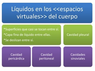 Líquidos en los <<espacios
virtuales>> del cuerpo
*Superficies que casi se tocan entre sí.
*Capa fina de líquido entre ellas.
*Se deslizan entre sí.
Cavidad
pericárdica
Cavidad
peritoneal
Cavidad pleural
Cavidades
sinoviales
 