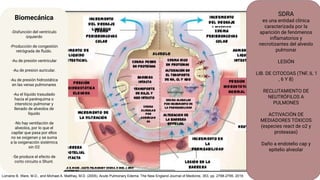 N
O
C
A
R
D
I
O
G
E
N
I
C
O
P
.
h
I
d
r
o
C
A
R
D
I
O
G
s. E
t. N
a
I
t
C
i
O
c
a
S
D
R
A
Biomecánica
-Disfunción del ventrículo
izquierdo
-Producción de congestión
retrógrada de ﬂuído.
-Au de presión ventricular
-Au de presion auricular.
-Au de presión hidrostática
en las venas pulmonares
-Au el líquido trasudado
hacia el parénquima o
intersticio pulmonar y
llenado de alveolos de
líquido
-No hay ventilación de
alveolos, por lo que el
capilar que pasa por ellos
no se oxigenan y se suma
a la oxigenación sistémica
sin O2
-Se produce el efecto de
corto circuito o Shunt.
Lorraine B. Ware, M.D., and Michael A. Matthay, M.D. (2005). Acute Pulmonary Edema. The New England Journal of Medicine, 353, pp. 2788-2795. 2019
SDRA
es una entidad clínica
caracterizada por la
aparición de fenómenos
inﬂamatorios y
necrotizantes del alveolo
pulmonar
LESIÓN
LIB. DE CITOCOAS (TNF, IL 1
, 6 Y 8)
RECLUTAMIENTO DE
NEUTRÓFILOS A
PULMONES
ACTIVACIÓN DE
MEDIADORES TÓXICOS
(especies react de o2 y
proteasas)
Daño a endotelio cap y
epitelio alveolar
 
