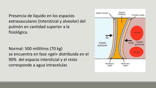 Presencia de liquido en los espacios
extravasculares (Intersticial y alveolar) del
pulmón en cantidad superior a la
fisiológica.
Normal: 500 mililitros (70 kg)
se encuentra en fase «gel» distribuida en el
90% del espacio intersticial y el resto
corresponde a agua intracelular.
 