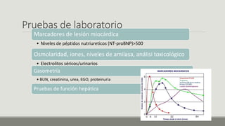Pruebas de laboratorio
Marcadores de lesión miocárdica
• Niveles de péptidos nutriureticos (NT-proBNP)>500
Osmolaridad, iones, niveles de amilasa, análisi toxicológico
• Electrolitos séricos/urinarios
Gasometría
• BUN, creatinina, urea, EGO, proteinuria
Pruebas de función hepática
 