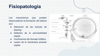 Los mecanismos que pueden
desencadenar la formación del edema
son:
● Alteración de las fuerzas de
Starling
● Defectos de la permeabilidad
capilar
● Insuficiencia del drenaje linfático
● Lesión de la membrana alveolar
capilar
Fisiopatología
 