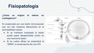 ¿Cómo se origina el edema no
cardiogénico?
Es ocasionado por una lesión microvascular
que con ello ocasiona alteraciones en la
permeabilidad celular.
● Si se mantiene localizada la lesión
puede pasar desapercibida (como en
una neumonía lobar)
● Si se vuelve difusa se presentará el
“SDRA” a consecuencia de una LPA
Fisiopatología
 