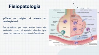 ¿Cómo se origina el edema no
cardiogénico?
Se ocasiona por una lesión tanto del
endotelio como el epitelio alveolar que
ponen en marcha un proceso inflamatorio
Fisiopatología
 