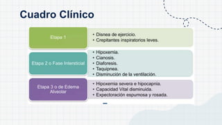 Cuadro Clínico
 