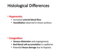 Histological Differences
• Hyperemia:
• Increased arterial blood flow.
• Vasodilation observed in tissue sections.
• Congestion:
• Venous distension and engorgement.
• Red blood cell accumulation in capillaries.
• Potential tissue damage due to hypoxia.
 