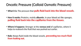 Oncotic Pressure (Colloid Osmotic Pressure)
• What it is: The pressure that pulls fluid back into the blood vessels.
• How it works: Proteins, mainly albumin, in your blood act like sponges,
pulling fluid back into the capillaries from the tissues.
• Where it happens: Stronger at the venous end of capillaries, where it
helps to reabsorb the fluid that was pushed out earlier.
• Role: Keeps fluid inside the blood vessels, preventing too much fluid
from leaking out.
 