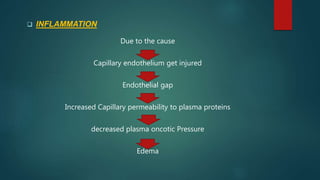  INFLAMMATION
Due to the cause
Capillary endothelium get injured
Endothelial gap
Increased Capillary permeability to plasma proteins
decreased plasma oncotic Pressure
Edema
 