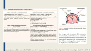 Esqueda-Liquidano, L., & Loo-Salomé, S. (2014). Edema cerebral I: fisiopatología, manifestaciones clínicas, diagnóstico y monitoreo neurológico. Med Int Méx, 30, 584-90.
 