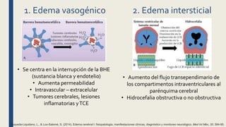 1. Edema vasogénico
• Se centra en la interrupción de la BHE
(sustancia blanca y endotelio)
• Aumenta permeabilidad
• Intravascular – extracelular
• Tumores cerebrales, lesiones
inflamatorias yTCE
2. Edema intersticial
• Aumento del flujo transependimario de
los compartimentos intraventriculares al
parénquima cerebral
• Hidrocefalia obstructiva o no obstructiva
Esqueda-Liquidano, L., & Loo-Salomé, S. (2014). Edema cerebral I: fisiopatología, manifestaciones clínicas, diagnóstico y monitoreo neurológico. Med Int Méx, 30, 584-90.
 
