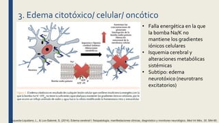 3. Edema citotóxico/ celular/ oncótico
• Falla energética en la que
la bomba Na/K no
mantiene los gradientes
iónicos celulares
• Isquemia cerebral y
alteraciones metabólicas
sistémicas
• Subtipo: edema
neurotóxico (neurotrans
excitatorios)
Esqueda-Liquidano, L., & Loo-Salomé, S. (2014). Edema cerebral I: fisiopatología, manifestaciones clínicas, diagnóstico y monitoreo neurológico. Med Int Méx, 30, 584-90.
 