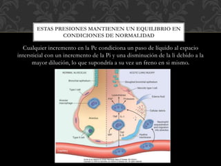 Cualquier incremento en la Pe condiciona un paso de líquido al espacio
intersticial con un incremento de la Pi y una disminución de la li debido a la
mayor dilución, lo que supondría a su vez un freno en si mismo.
ESTAS PRESIONES MANTIENEN UN EQUILIBRIO EN
CONDICIONES DE NORMALIDAD
 