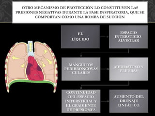 OTRO MECANISMO DE PROTECCIÓN LO CONSTITUYEN LAS
PRESIONES NEGATIVAS DURANTE LA FASE INSPIRATORIA, QUE SE
COMPORTAN COMO UNA BOMBA DE SUCCIÓN
EL
LÍQUIDO
ESPACIO
INTERSTICIO-
ALVEOLAR
MANGUITOS
PERIBRONCOVAS
CULARES
MEDIASTINO Y
PLEURAS
CONTINUIDAD
DEL ESPACIO
INTERSTICIAL Y
EL GRADIENTE
DE PRESIONES
AUMENTO DEL
DRENAJE
LINFÁTICO.
 