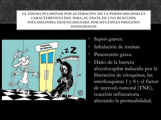 • Sepsis graves.
• Inhalación de toxinas
• Pancreatitis grave.
• Daño de la barrera
alveolocapilar inducido por la
liberación de citoquinas, las
interleuquinas 1 y 8 y el factor
de necrosis tumoral (TNE),
reacción inflamatoria
alterando la permeabilidad.
EL EDEMA PULMONAR POR ALTERACIÓN DE LA PERMEABILIDAD ES
CARACTERÍSTICO DEL SDRA, SE TRATA DE UNA REACCIÓN
INFLAMATORIA DESENCADENADA POR MÚLTIPLES PROCESOS
PATOLÓGICOS
 