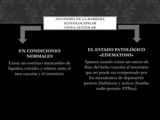 EN CONDICIONES
NORMALES
Existe un continuo intercambio de
líquidos, coloides y solutos entre el
área vascular y el intersticio.
EL ESTADO PATOLÓGICO
«EDEMATOSO»
Aparece cuando existe un exceso de
flujo del lecho vascular al intersticio
que no puede ser compensado por
los mecanismos de depuración
pasivos (linfáticos) y activos (bomba
sodio-potasio ATPasa)
ANATOMÍA DE LA BARRERA
ALVEOLOCAPILAR
LÍNEA ALVEOLAR
 