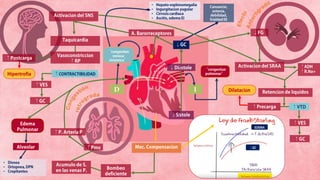 ó
í
á ó
ó í
ó
ó
•
•
•
ó
ó
é
•
• ó
•
•
ó
 