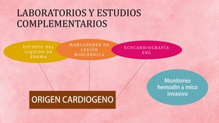 LABORATORIOS Y ESTUDIOS
COMPLEMENTARIOS
E ST U D I O D E L
L I Q U I D O D E
E D E M A
M A RC A D O R E S D E
L E S I Ó N
M I O C Á R D I C A
E C O C A R D I O G R A F Í A
E KG
 