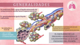 GENERALIDADES
EL EQUILIBRIO DE LAS
PRESIONES HIDROSTÁTICA Y
COLOIDOSMÓTICA (C-I) Y LAS
PRESIONES DEL PULMÓN
EL MOVIMIENTO Y DISTRIBUCIÓN DE LOS
LÍQUIDOS EN LOS DISTINTOS
COMPARTIMENTOS ESTARÁ REGULADO POR:



 