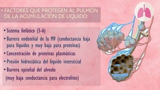 • FACTORES QUE PROTEGEN AL PULMÓN
DE LA ACUMULACIÓN DE LIQUIDO:
•Sistema linfático (5-6)
•Barrera endotelial de la MV (conductancia baja
para líquidos y muy baja para proteínas)
•Concentración de proteínas plasmáticas
•Presión hidrostática del liquido intersticial
•Barrera epitelial del alveolo
(muy baja conductancia para electrolitos)
 