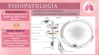 PRESIÓN HIDROSTÁTICA:
Facilita el desplazamiento de
liquido del capilar hacia al
intersticio.
PRESIÓN ONCÓTICA:
Dependerá de la
concentración de proteínas en
el plasma.
Facilitara el desplazamiento
del liquido del intersticio hacia
el interior del capilar
2
2
• BASADA EN LAS FUERZAS STARLING:
DETERMINA EL EQUILIBRIO ENTRE LAS DOS FUERZAS
FISIOPATOLOGÍA
 