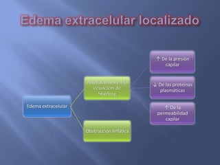 ↑ De la presión
                                                 capilar


                     Alteraciones en la      ↓ De las proteínas
                        ecuación de             plasmáticas
                          Starling

Edema extracelular                                ↑ De la
                                               permeabilidad
                                                  capilar

                     Obstrucción linfática
 