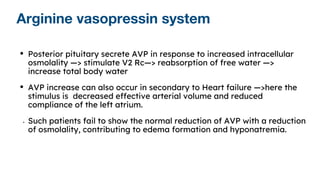 Arginine vasopressin system
• Posterior pituitary secrete AVP in response to increased intracellular
osmolality —> stimulate V2 Rc—> reabsorption of free water —>
increase total body water
• AVP increase can also occur in secondary to Heart failure —>here the
stimulus is decreased effective arterial volume and reduced
compliance of the left atrium.
• Such patients fail to show the normal reduction of AVP with a reduction
of osmolality, contributing to edema formation and hyponatremia.
 