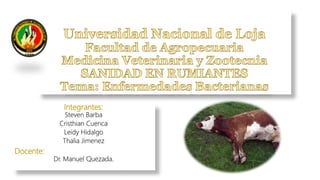 Integrantes:
Steven Barba
Cristhian Cuenca
Leidy Hidalgo
Thalia Jimenez
Docente:
Dr. Manuel Quezada.
 