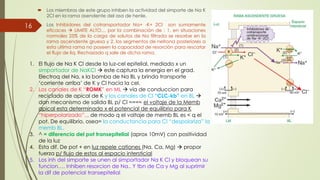  Los miembros de este grupo inhiben la actividad del simporte de Na K
2Cl en la rama asendente del asa de henle.
 Los Inhibidores del cotransportador Na+ -K+ 2Cl son sumamente
eficaces  LIMITE ALTO… por la combinación de : 1. en situaciones
normales 25% de la carga de solutos de Na filtrada se resorbe en la
rama ascendente gruesa y 2. los segmentos de nefrona posteriores a
esta ultima rama no poseen la capacidad de resorción para rescatar
el flujo de liq. Rechazado q sale de dicha rama.
16
1. El flujo de Na K Cl desde la luz-cel epitelial, mediado x un
simportador de NaKCl  este captura la energia en el grad.
Electroq del Na, x la bomba de Na BL y brinda transporte
‘corriente arriba’ de K y Cl hacia la cel.
2. Los canales de K “ROMK” en ML  via de conduccion para
reciclado de apical de K y los canales de Cl “CLC-kb” en BL 
dan mecanismo de salida BL p/ Cl ==== el voltaje de la Memb
apical esta determinado x el potencial de equilibrio para K
“hiperpolarizado”,,, de modo q el voltaje de memb BL es < q el
pot. De equilibrio, osea= la conductancia para Cl “despolariza” la
memb BL.
3. ^ = diferencia del pot transepitelial (aprox 10mV) con positividad
de la luz
4. Esta dif. De pot + en luz repele cationes (Na, Ca, Mg)  propor
fuerza p/ flujo de estos al espacio intersticial
5. Los inh del simporte se unen al simportador Na K Cl y bloquean su
funcion…. Inhiben resorcion de Na.. Y tbn de Ca y Mg al suprimir
la dif de potencial transepitelial
 