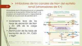  Inhibidores de los canales de Na+ del epitelio
renal (ahorradores de K+)22
 incremento leve de las
tasas de excreción de Na+
y Cl- (2% de la carga
filtrada)
 Disminución de las tasas de
excreción de K+, H+, Ca2+
y Mg2+
Brunton L. Goodman y Gillman, bases farmacológicas de la
terapeutica. 12 a ed. Ed. McGraw Hill:2012
Ahorradores de K+ porq provocan un pequeño
aumento en la excreción (CINa) de NaCl; y se
emplean principalmente por su capacidad de
interferir en los procesos de perdida de K.
 