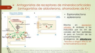  Antagonistas de receptores de mineralocorticoides
(antagonistas de aldosterona, ahorradores de K+)25
• Espironolactona
• eplerenona
Brunton L. Goodman y Gillman, bases farmacológicas de la terapeutica. 12 a ed. Ed. McGraw Hill:2012
Lorenzo P, Moreno A, Lizasoain I, Leza JC, Moro MA, Portoles A. (2008) Velazquez Farmacologia Basica y Clinica. 18 ed.
Efectos en excrecion
urinaria  similares a los
inducidos por los inh de
canales del Na+ epiteliales
 pero en función de las
concentraciones
endógenas de aldosterona
*escaso o ningún efecto en
la hemodinámica renal
 