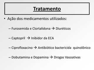 Tratamento
• Ação dos medicamentos utilizados:

  – Furosemida e Clortalidona  Diuréticos

  – Captopril  Inibidor da ECA

  – Ciprofloxacino  Antibiótico bactericida quinolônico

  – Dobutamina e Dopamina  Drogas Vasoativas
 