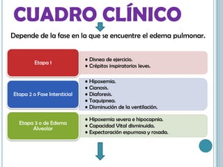 CUADRO CLÍNICO
• Disnea de ejercicio.
• Crépitos inspiratorios leves.
Etapa 1
• Hipoxemia.
• Cianosis.
• Diaforesis.
• Taquipnea.
• Disminución de la ventilación.
Etapa 2 o Fase Intersticial
• Hipoxemia severa e hipocapnia.
• Capacidad Vital disminuida.
• Expectoración espumosa y rosada.
Etapa 3 o de Edema
Alveolar
Depende de la fase en la que se encuentre el edema pulmonar.
 
