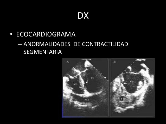 Los mejores médicos flebologi en spb