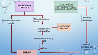 INSUFICIENCIA
CARDÍACA
MALNUTRICIÓN,
SÍNTESIS HEPÁTICA.,
SÍNDROME NEFRÓTICO
Presión hidrostática
capilar
Flujo sanguíneo
renal
Activación del
sistema RAA
Retención de Na²+ y
H2O
Volemia
EDEMA
INSUFICIENC
IA RENAL
Albumina
plasmática
Presión
osmótica del
plasma
 