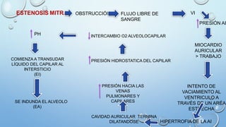 ESTENOSIS MITRAL OBSTRUCCIÓN FLUJO LIBRE DE
SANGRE
VI
PRESIÓN AI
MIOCARDIO
AURICULAR
> TRABAJO
INTENTO DE
VACIAMIENTO AL
VENTRICULO A
TRAVÉS DE UN ARÉA
ESTRECHA
HIPERTROFIA DE LA AI
CAVIDAD AURICULAR TERMINA
DILATANDOSE
PRESIÓN HACIA LAS
VENAS
PULMONARES Y
CAPILARES
PRESIÓN HIDROSTATICA DEL CAPILAR
INTERCAMBIO O2 ALVEOLOCAPILARPH
COMIENZA A TRANSUDAR
LÍQUIDO DEL CAPILAR AL
INTERSTICIO
(EI)
SE INDUNDA EL ALVEOLO
(EA)
 