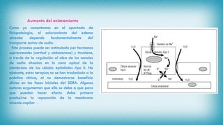 Aumento del aclaramiento
Como ya comentamos en el apartado de
fisiopatología, el aclaramiento del edema
alveolar depende fundamentalmente del
transporte activo de sodio.
Este proceso puede ser estimulado por hormonas
suprarrenales (cortisol y aldosterona) y tiroideas,
a través de la regulación al alza de los canales
de sodio situados en la zona apical de la
membrana de las células epiteliales tipo II. No
obstante, estas terapias no se han trasladado a la
práctica clínica, al no demostrarse beneficio
clínico en las fases iniciales del SDRA. Algunos
autores argumentan que ello se debe a que para
que puedan hacer efecto debe primero
producirse la reparación de la membrana
alveolo-capilar .
 