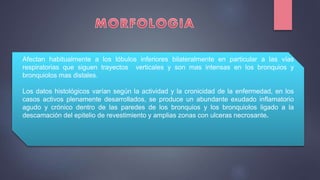 Afectan habitualmente a los lóbulos inferiores bilateralmente en particular a las vías
respiratorias que siguen trayectos verticales y son mas intensas en los bronquios y
bronquiolos mas distales.
Los datos histológicos varían según la actividad y la cronicidad de la enfermedad, en los
casos activos plenamente desarrollados, se produce un abundante exudado inflamatorio
agudo y crónico dentro de las paredes de los bronquios y los bronquiolos ligado a la
descamación del epitelio de revestimiento y amplias zonas con ulceras necrosante.
 