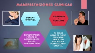 DISNEA Y
ORTOPNEA
TOS INTENSA
Y
CONSTANTE
EXPECTORACIÓN
FÉTIDAS EN
OCASIONES CON
ESPUTO
SANGUINOLENTO
EN CASOS
GRAVE SE PUEDE
PRESENTAR
.HEMOPTISIS
ESPORÁDICA
POTENCIALMENT
E MORTAL
 
