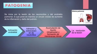 Se inicia por la lesión de los neumocitos y del endotelio
pulmonar, lo que pone en marcha un circulo vicioso de aumento
de la inflamación y daño del pulmón.
Activación
endotelial
Adhesión y
extravasaci
ón de
neutrofilos
La resolución
de la lesión
Acumulación de
liquido
intraalveolar y
formación de
membranas hilinas
 