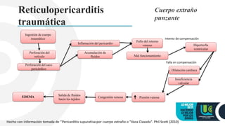 Reticulopericarditis
traumática
Cuerpo extraño
punzante
Perforación del saco
pericárdico
Fallo del retorno
venoso
Inflamación del pericardio
Ingestión de cuerpo
traumático
Acumulación de
fluidos Mal funcionamiento
Perforación del
retículo
Hipertrofia
ventricular
Intento de compensación
Dilatación cardiaca
Presión venosa
Insuficiencia
valvular
Falla en compensación
EDEMA Salida de fluidos
hacia los tejidos
Congestión venosa
Hecho con información tomada de ‘’Pericarditis supurativa por cuerpo extraño o "Vaca Clavada". Phil Scott (2010)
 