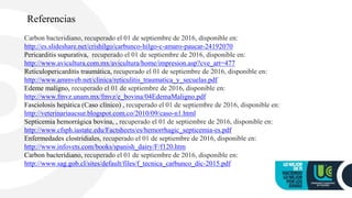 Carbon bacteridiano, recuperado el 01 de septiembre de 2016, disponible en:
http://es.slideshare.net/crishilgo/carbunco-hilgo-c-amaro-paucar-24192070
Pericarditis supurativa, recuperado el 01 de septiembre de 2016, disponible en:
http://www.avicultura.com.mx/avicultura/home/impresion.asp?cve_art=477
Reticulopericarditis traumática, recuperado el 01 de septiembre de 2016, disponible en:
http://www.ammveb.net/clinica/reticulitis_traumatica_y_secuelas.pdf
Edeme maligno, recuperado el 01 de septiembre de 2016, disponible en:
http://www.fmvz.unam.mx/fmvz/e_bovina/04EdemaMaligno.pdf
Fasciolosis hepática (Caso clínico) , recuperado el 01 de septiembre de 2016, disponible en:
http://veterinariaucsur.blogspot.com.co/2010/09/caso-n1.html
Septicemia hemorrágica bovina, , recuperado el 01 de septiembre de 2016, disponible en:
http://www.cfsph.iastate.edu/Factsheets/es/hemorrhagic_septicemia-es.pdf
Enfermedades clostridiales, recuperado el 01 de septiembre de 2016, disponible en:
http://www.infovets.com/books/spanish_dairy/F/f120.htm
Carbon bacteridiano, recuperado el 01 de septiembre de 2016, disponible en:
http://www.sag.gob.cl/sites/default/files/f_tecnica_carbunco_dic-2015.pdf
Referencias
 