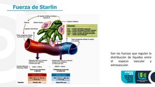 Fuerza de Starlin
Son las fuerzas que regulan la
distribución de líquidos entre
el espacio vascular y
extravascular.
 