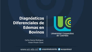 Diagnósticos
Diferenciales de
Edemas en
Bovinos
Carlos Gaona Rodriguez
Vivian Pinzón Casas
 