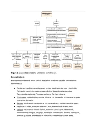 sesi-n-del-12-de-marzo-edemas-en-eeii-diagn-stico-diferencial-pdf