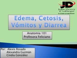 Anatomia 101
               Profesora Feliciano



Por: Alexis Rosado
    Alexandra Guzmán
    Cindia González
 