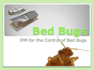 Bed Bugs IPM for the Control of Bed Bugs 