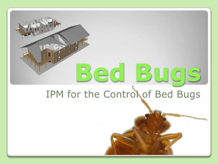 Eden Bed Bug Training Curriculum